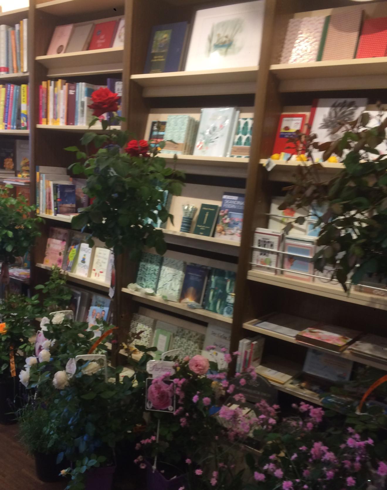Rosenfest lässt Buchhandlung aufblühen Bild 4