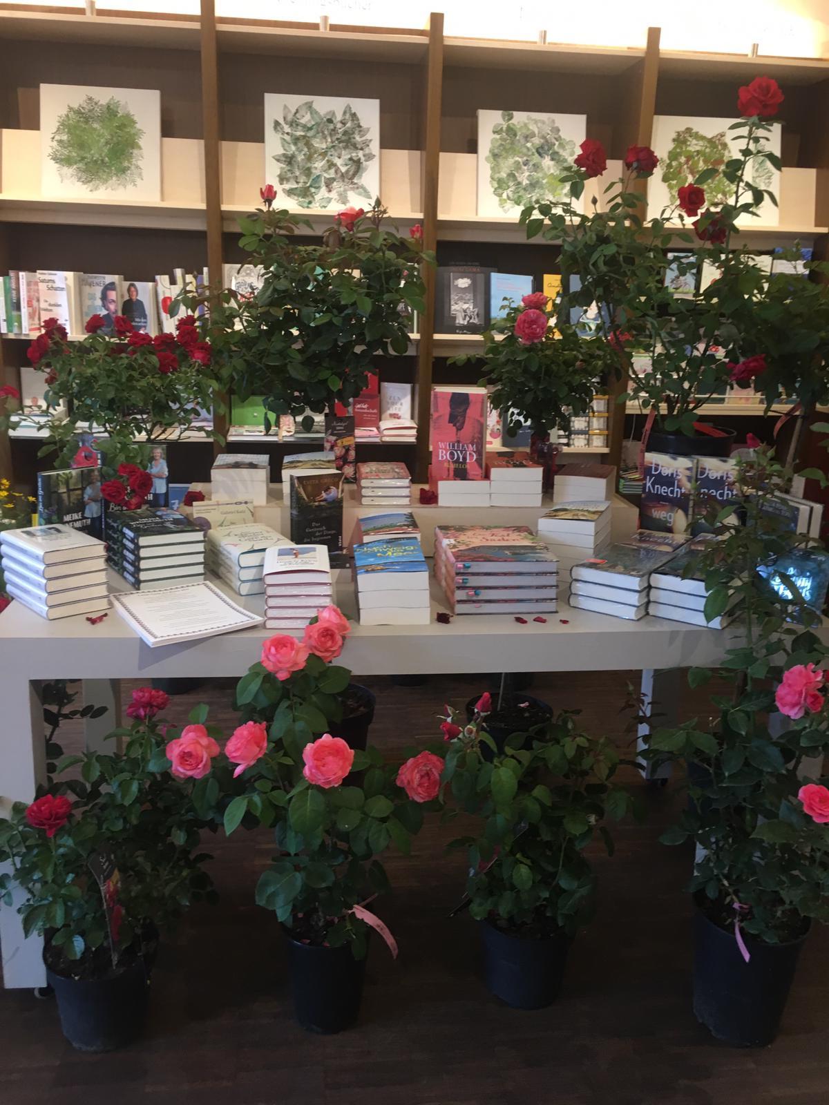 Rosenfest lässt Buchhandlung aufblühen Bild 5
